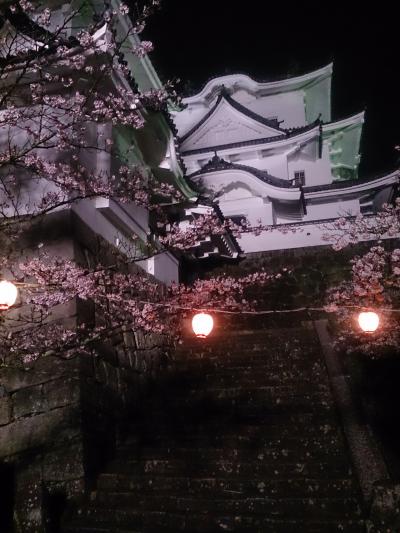 伊賀上野と桜