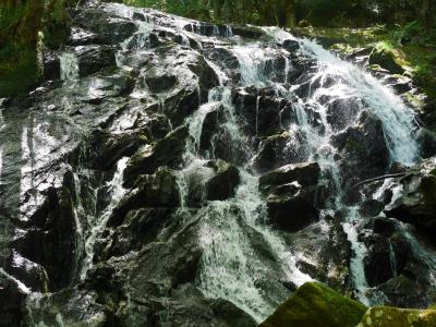 うつくしま福島!【東白河郡(鮫川村):江竜田の滝遊歩道】