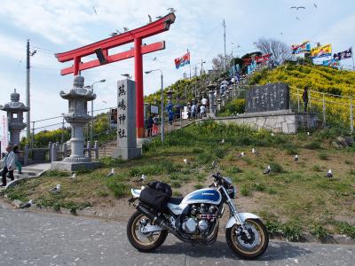 6日目 青森→蕪島神社→盛岡 328km