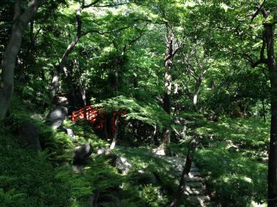 東京散策 神田→池袋 ウォーキング