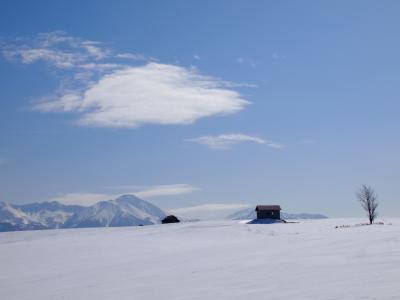 名カメラマンお二人のお供で、白い雪に彩られた美瑛へ♪