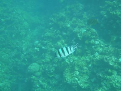 沖縄でひともぐり