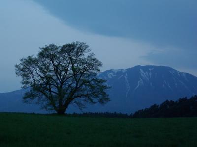 岩手・秋田・山形の旅（小岩井農場近辺）