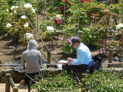 久しぶりに福岡の旅へ④舞鶴公園を訪れる