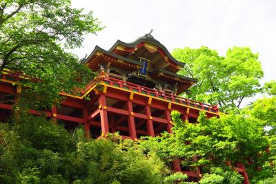 初めての佐賀の旅行は。。。“九年庵で新緑に包まれ～華やかな祐徳稲荷神社に参拝し～伊万里で宿泊しました～”