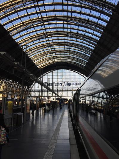 ⑨-⑨【5/03&04:帰国日】とんちゃんとPenguinの凸凹ドイツ旅行(ちょっとオランダとオーストリア)