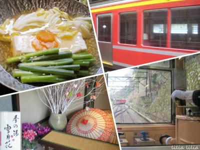 両親と行く箱根旅行～朝の露天風呂、朝食、登山鉄道、箱根湯本～（2日目）