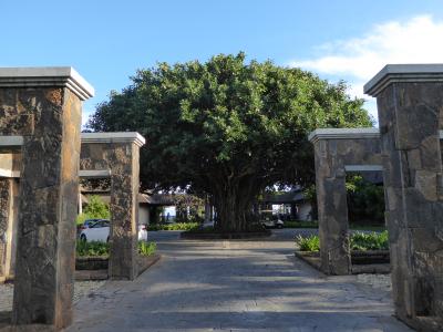 モーリシャス~ウェスティン・タートルベイ