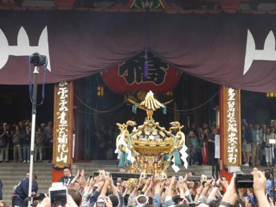 “三社祭”町内神輿連合渡御。そして「駒形どぜう」と「神谷バー」