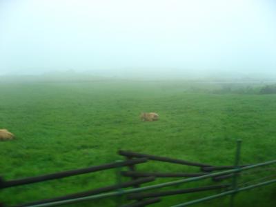 ’１５　ＧＷ南九州鉄道＆グルメ旅１９　雨の阿蘇観光＆いまきん食堂