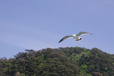 村上観光　笹川流れ