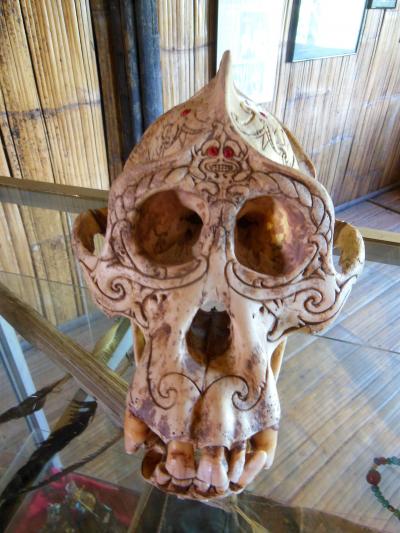 ボルネオ2015･･･（3）首狩り族の勇者モンソピアと42個の頭蓋骨