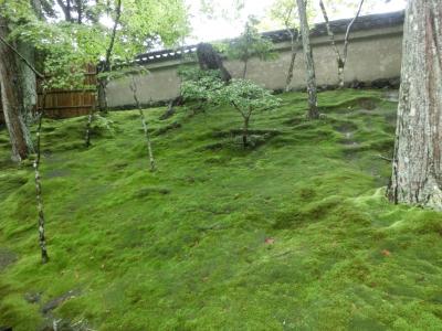 世界遺産「古都京都の文化財」（西芳寺）