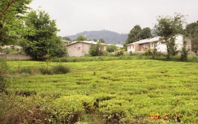 イラン２０００（カスピ海沿岸）