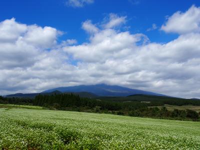 蕎麦の花を見に。裾野十里木