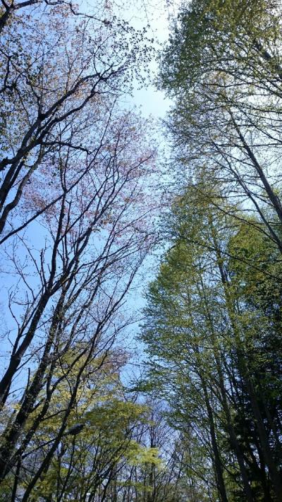 2015.05 GW軽井沢 中棚荘に泊まる