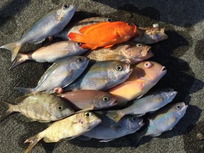 4ヶ月ぶりの沖縄釣り紀行