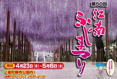 江南・曼荼羅寺・藤まつり