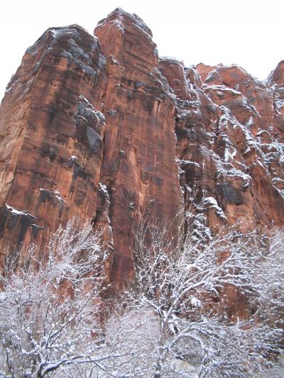 2003年から2004年へ・年末年始の旅・砂漠ラスベガスに雪が降った（絶景！赤い岩肌「ザイオン」も白く雪化粧）