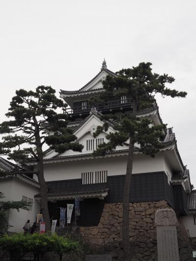 東海名城巡り③　～　三河の岡崎城と名古屋名物みそかつ　～