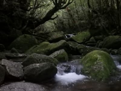 屋久島一人旅　その2（2日目）