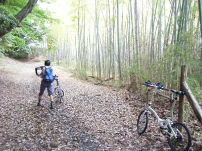 絹の道（八王子）～ゆうやけこやけ：陣馬街道　ポタ