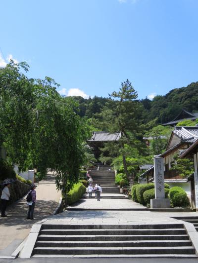 西国33か所　8番　長谷寺　番外札所　法起院