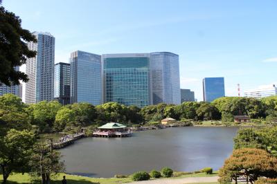2015年　東京ぶらり歩き　NO.8　5月4日「みどりの日」は都内の公園など一部施設が入園無料！