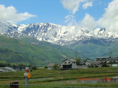 森林浴と温泉で大満足でした♪♪♪♪♪