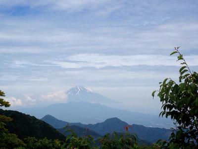 城山～葛城山（日帰りhike）