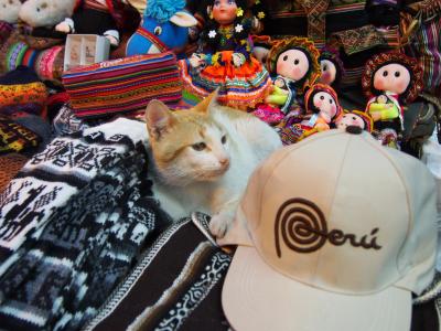 南米の旅　~ペルー・リマ~