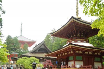 関西２dayチケットを使って　京都・葵祭り＆開創１２００年に盛り上がる高野山　今だけ～を満喫しました（≧∇≦）　その２ いやぁぁ～～　えらい人・人・人やなぁ～～