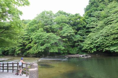 千葉県　君津市　新緑の亀山湖