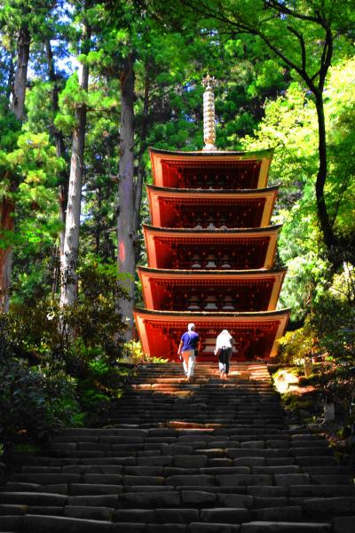 開創1200年の高野山から奈良・東大寺・談山神社・長谷寺・室生寺を巡る