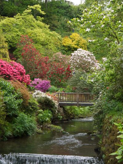 Bodnant Garden ☆ナショナルトラスト