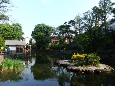 渋谷駅から徒歩１２分で水車のある公園(渋谷区立鍋島松濤公園)を訪ねて