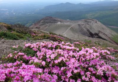 花の山旅 ◇ 霧島連山【前編】 ～ ミヤマキリシマ咲き誇る 天孫降臨の高千穂峰へ♪