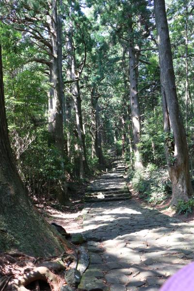 高野山と熊野古道