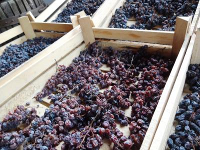 春のITALIA ☆ 1. Verona