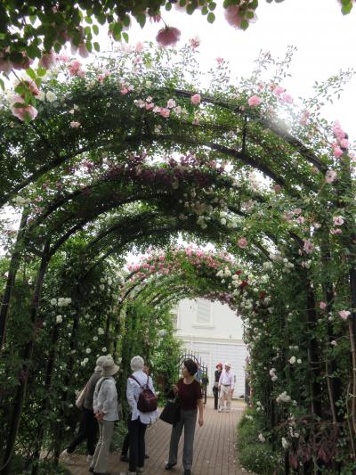 横浜イングリッシュガーデン　ちょっと遅い自分への母の日のプレゼント、バラの花束（目の保養だけだけど）