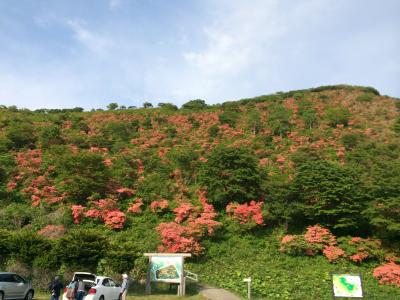 道南の花巡り