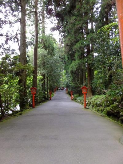 人が少ないだろうと思って行って見た 箱根