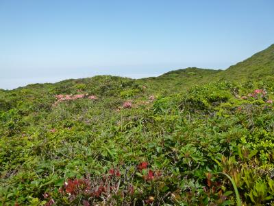 伊豆諸島一人旅☆神津島天上山トレッキング編