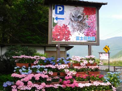 2015年5月 富士花鳥園