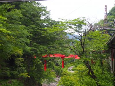 新緑の高野山