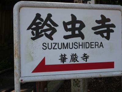 大阪に泊まって京都と奈良の旅　　１