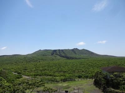 【トラベルロード】伊豆大島 JF+JFプラン ホテル白岩