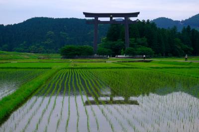 高野山開祖1200年！御本尊特別御開帳・世界遺産「熊野那智大社」「熊野本宮大社」[１]