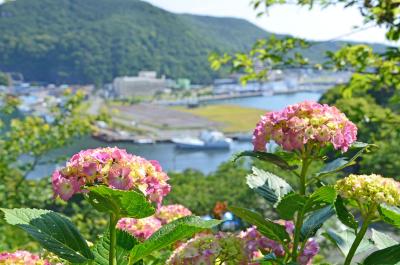 伊豆へ… 2015.05.30 =1.下田公園(その1 紫陽花)=