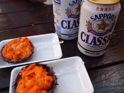 ダイヤモンド・プリンセスで気軽にクルーズ　函館朝市と湯の川温泉【函館&amp;湯の川 2014】